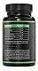 BRNR GREEN BRNR - Grüntee Extrakt hochdosiert 120 Kapseln mit extra viel EGCG + Polyphenole, Green Tea Kapseln, Grüner Kaffee Extrakt, 120 Kapseln