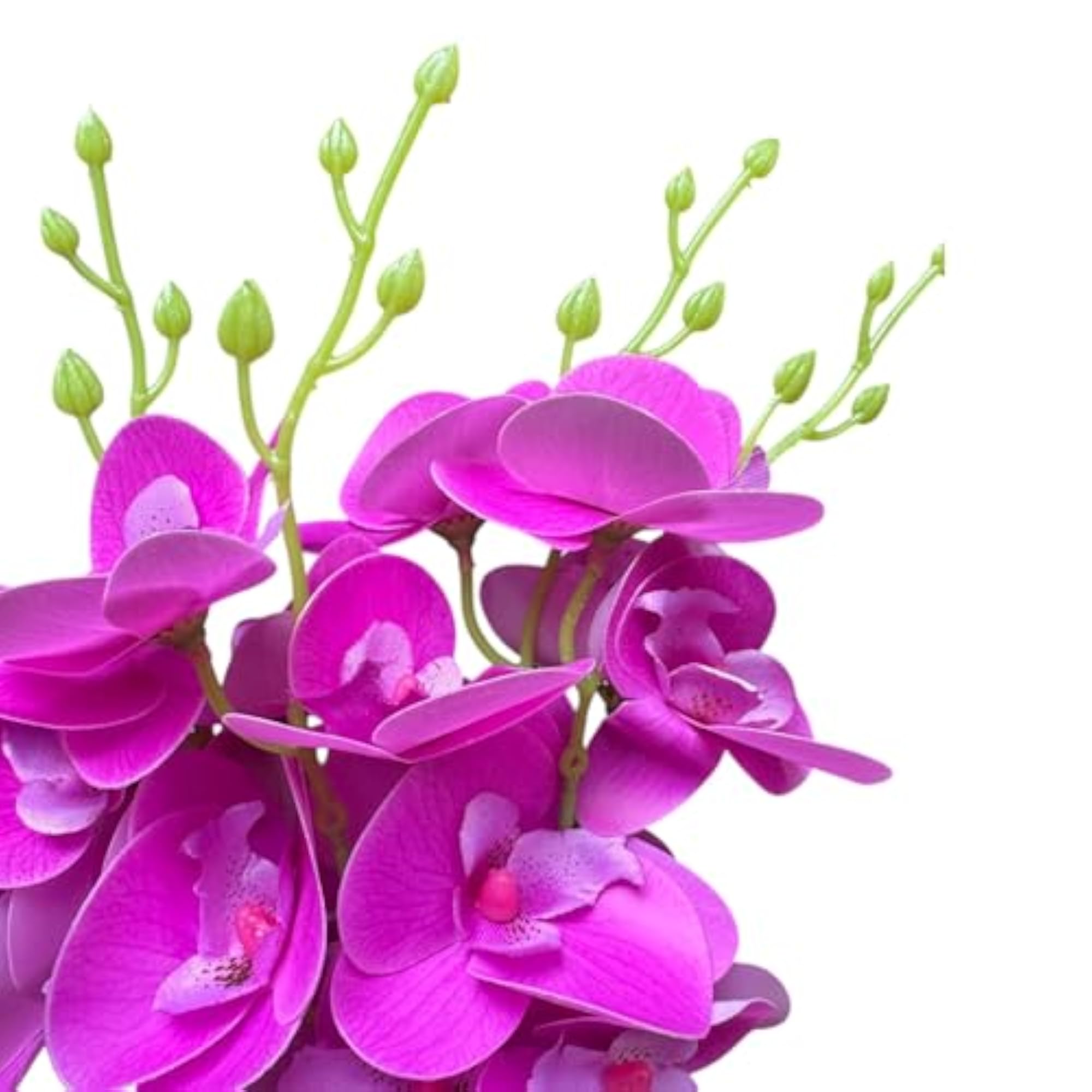 Artificial Small Orchid Bunch Without Pot, 5 Heads