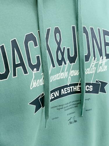 JACK & JONES Jjelogo Sweat Hood 2 Col 25/26 Noos – Ansicht 5