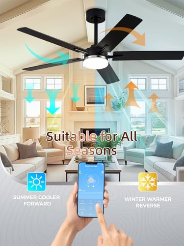 Image of LANMEL Ceiling Fan with Light, Modern Flush Mount Low Profile with Remote Control, Reversible, 3CCT Dimmable, Quiet,LED for Bedroom, Living Room, Indoor /Outdoor Patio Use 52 Inch Silver & Black