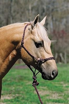 Lami Cell Mountain Rope Halter