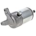 NICHE Starter Motor for Suzuki Ozark Quadsport Z250 King Quad 250 Quadrunner 230 160 31100-02C10 31100-02C01 ATV