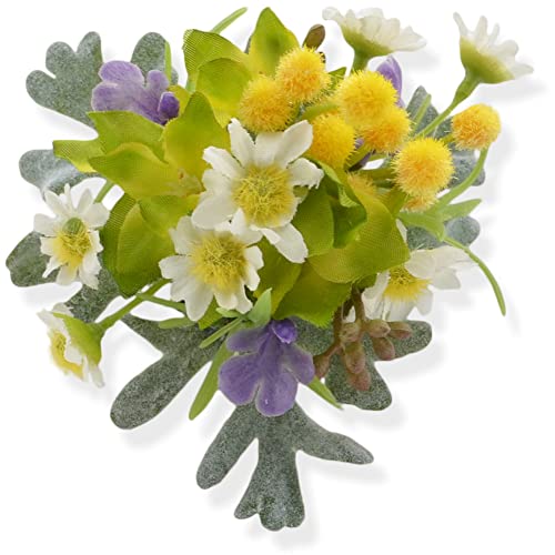 [R-days㊯R]  RT[W u[` w tH[} JWA  }} fB[X u[` wAANZT[ { i~UJ~[j