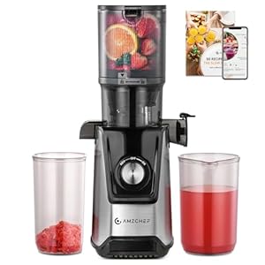 AMZCHEF Entsafter Slow Juicer – 118MM Große Einfüllöffnung für Ganze Gemüse und Obst – Entsafter Gemüse und Obst Testsieger – Hohe Saftausbeute, Einfach zu Reinigen