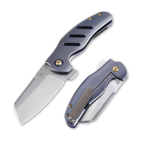 Kizer Cutlery Pocket Knives Flipper Knife Frame Lock Titanium Handles Tactical EDC Folding Knife, Sheepdog C01C Ki4488A