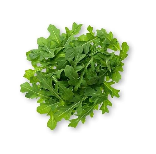 Cetechondra 720322, 100 Grüne Rucola-Samen