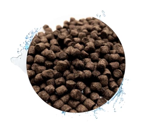 Warnick´s Tierfutterservice Koi Koifutter 10 kg * Wheatgerm * für Frühjahr & Herbst in 6mm