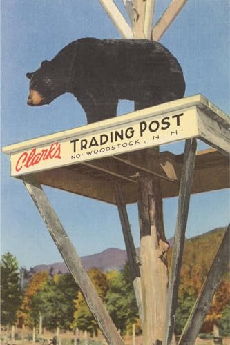 ART.COM Wall Art Print Bear, Clark's Trading Post, Woodstock, New Hampshire, 24" x 36"