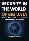Security in the World of Big Data: Privacy, Vulnerabilities, and Resilience in Distributed Data Systems