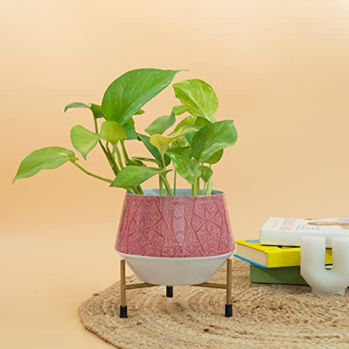 Image of KYARI Nerdy Metal Pots For Indoor Plants With Drainage Hole (Best Flower Pots & Planters For Home Decor, Living Room, Kitchen, Bedroom, Table Top, Office, Gifting, Abstract Line)