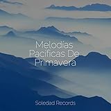 Soledad Records