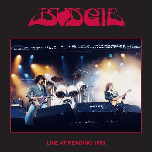 Pochette de Live At Reading 1980 [VINYL]