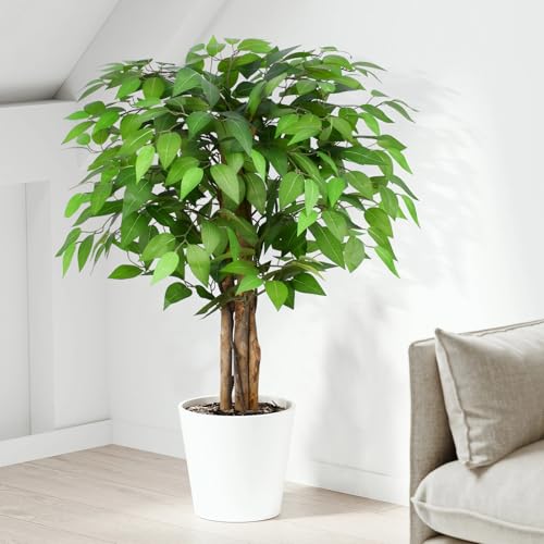 Image of 3ft Ficus Artificial Trees with Natural Curved Trunks, 36 inch Tall Lush Faux Tree for Home Decor Indoor, Green Lifelike Fake Ficus Tree Artificial Plants