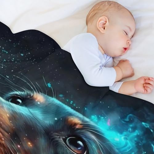 Manta de perro salchicha de franela suave suave el regalo perfecto para cama 4