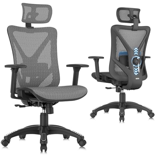 Image of ELABEST T23 Ergonomic Mesh Office Chair, High Back Computer Desk Chair, Breathable AirMesh with Dual-Move Lumbar Support, 3D Armrests & Headrest, Tilt Lock,Big and Tall for Home Office(Graphite)