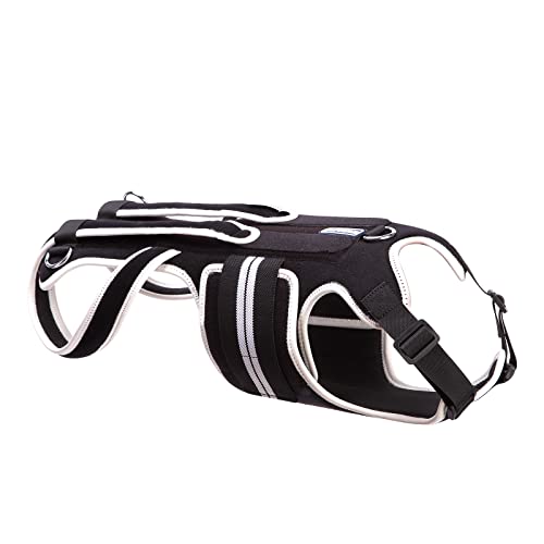 LufeLux Back Brace for Dogs with IVDD, Arthritis, Back Pain, Surgical Recovery and Rehabilitation, Dachshund Back Pain Relief, IVDD Harness(Large)