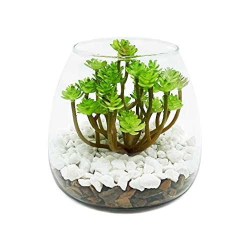 Terrario Plantas - Planta Artificial Pequeña - Terrario Cristal Planta Artificial - Decoración Mesa Comedor - Decoración Salón - Plantas Artificiales Decorativas - Centro Mesa Decorativo (14,5 x 12)