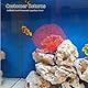 Tissting Künstliche Koralle, Realistische PVC Aquarium Dekorationen für Fisch Tank, DIY Korallenpflanzen, Langlebige Simulation Aquatische Koralle für Aquarium Ornamente