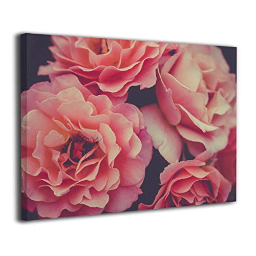 Tour Edge Hot Launch E525 VIBRCOR Lob Wedge 60* (Graphite UST Helium Black, Regular, Left) 2025