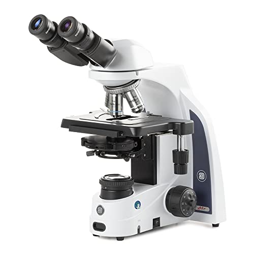 Image of iScope Binocular Compound Microscope EWF 10x /22mm Eyepiece Plan Phase PLPHI 10 /20 /S40 /S100x Oil iOS Objectives Zernike Phase Contrast Disc Cond Darkfield Stop, Rackless Stage, Globe | Euromex