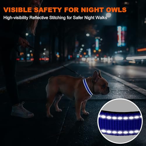 Image of Taglory Reflective Small Dog Collar, Comfortable for Safe Night Walks, Blue