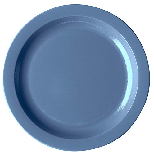 Cambro 10CWNR401 Dinnerware Plate Narrow Rim 10 Cambro 10CWNR401 Dinnerware Plate Narrow Rim 10