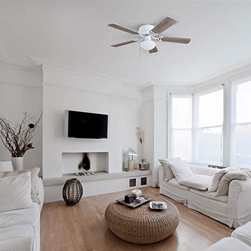 Prominence Home Alvina, 42 Inch Traditional Flush Mount Indoor Led Ceiling Fan With Light, Pull Chain, Dual Finish Blades, Reversible Motor - 80092-01 (White) #TOP6