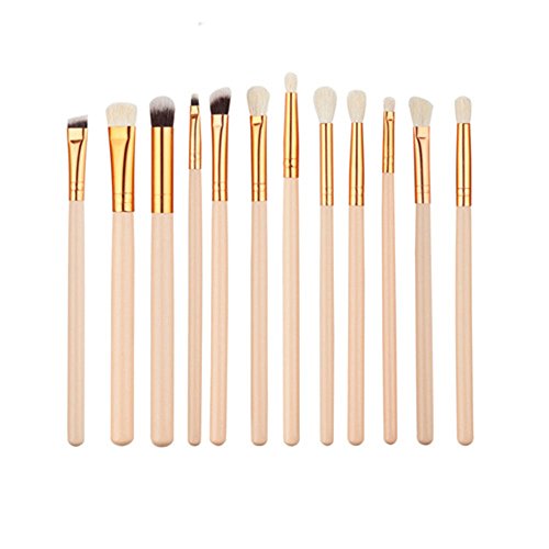 Kasla 12 Pieces Eye Shadow Foundation Makeup Brush Set (Skin Color)