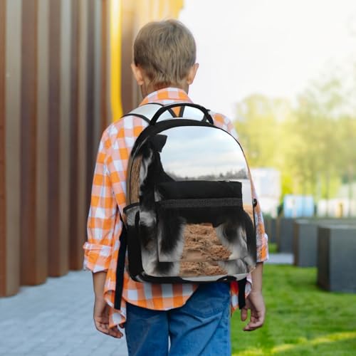 Sac à dos chien schnauzer imperméable pour écolier noir idéal collège