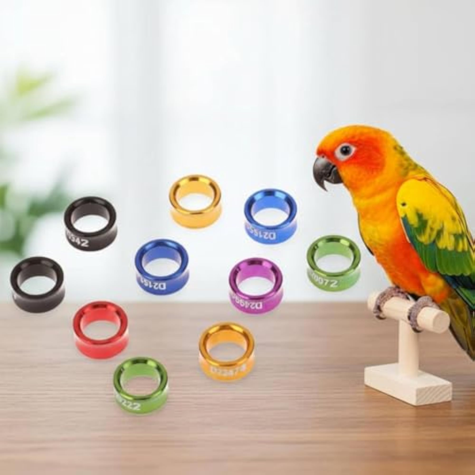 10 Pieces Mixed Colors Parrot Foot Band