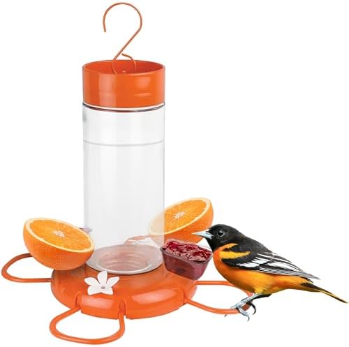 Bird Feeder for Orioles That Will Transform Your Backyard Experience 5 Nature