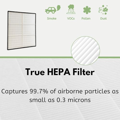 Filtre HEPA anti-odeur pour Whirlpool 8171434 K Grande purificateur Nispira - 7