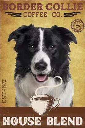 Amazon.com: Kanni Border Collie Dog Sign,Coffee Retro Poster