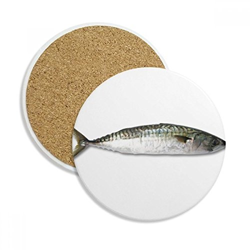 Pierre absorbante pour boisson sous-verre céramique poisson multicolor