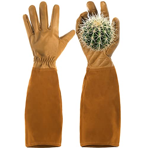 List of Ten Best Gloves For Handling Cactus Top Picks 2023 Reviews