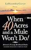  When 40 Acres and a Mule Wont Do!: Retirement Is Not an Age, but a Financial Number