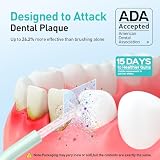 COSLUS ADA Accepted Water Dental Flosser Teeth Pick C20: Portable Cordless Oral Irrigator 300ML Rechargeable Travel Irrigation Cleaner IPX7 Waterproof Electric Flossing Machine, Professional Set Green