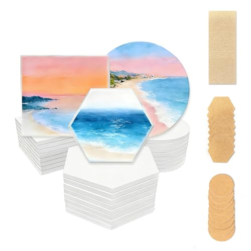 QISHENG - 24 Pcs Ceramic Tiles for Crafts(Square Round & Hexagon) White Unglazed Coaster with Cork Backing Pad for Christmas/Birthday DIY GiftAlcohol Ink Painting Acrylic Pouring Art Decoupage.