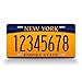 Custom New York License Plate Any Text Personalized NY Metal Auto Tag Aluminum Empire State