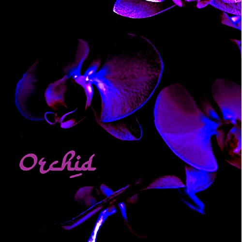 Orchid