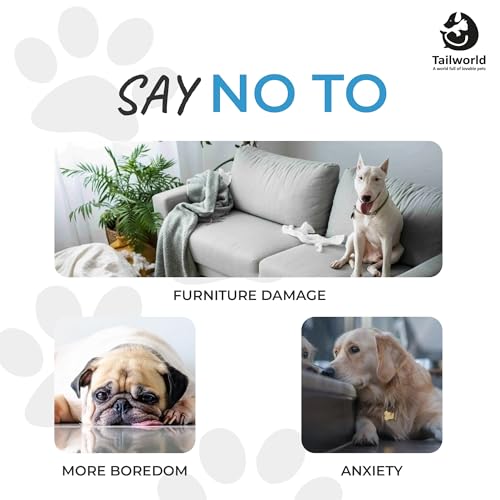 Tailworld Pet Chew Toys, Multicolor, Pack of 5 - Image 4