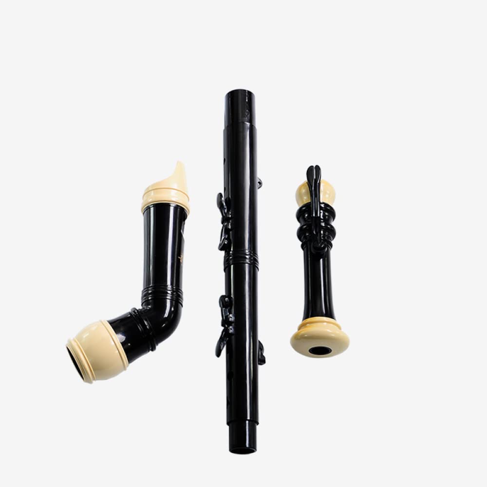 Flauto, Flauto for Principianti, Strumento Musicale, Flauto Dolce Basso Professionale, Barocco, 8 Fori, Chiave F, Soprano
