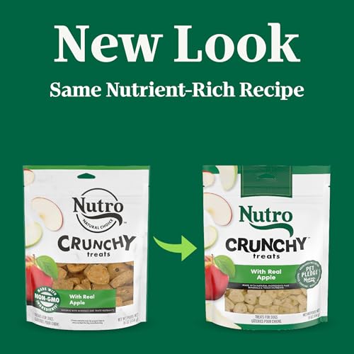 Nutro Crunchy Dog Treats with Real Apple, Training Treats for Dogs, 16 oz. Bag