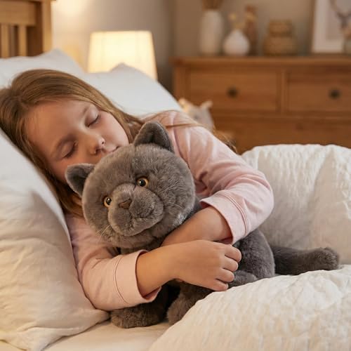 lilizzhoumax Britisch Kurzhaar bk Kuscheltier Katze plüschtier 28cm Simuliertes Tier Spielzeug Katze Kawaii Realistische Plüsch Spielzeug für Wilde Tiere, Geschenk für Freunde und Kinder
