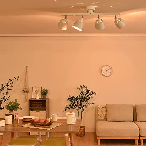Amazon.co.jp: VENTOTA シーリングライト 4灯 調光調色 リモコン付き