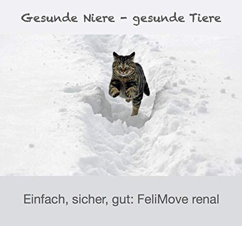 FeliMove Doppelpack | renal (2 x 50 g Pulver) - Pulver zur Unterstützung der physiologischen Nierenfunktion und des Blutdrucks | Mit Schwarzen Knoblauch, Ackerschachtelhalm, Goldrute und mehr
