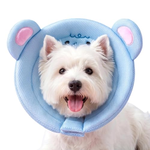 Collar de cono de gato y cachorros para recuperación de esterilización 2