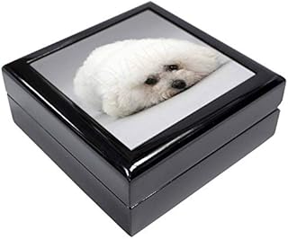 Advanta Group Bichon Frise Dog Keepsake/Jewellery Box