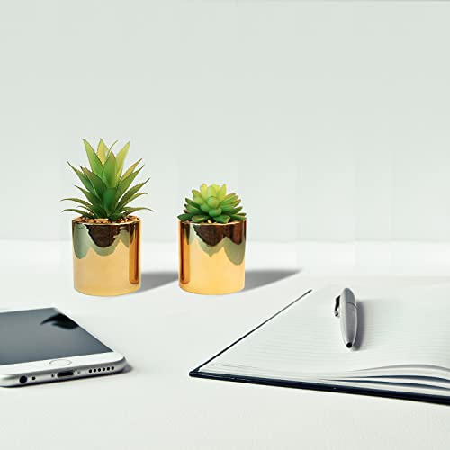Faux-Succulent-Artificial-Plants-7-5-in-Pots-Home-Decoration-Set-of-2-Gold-Pots