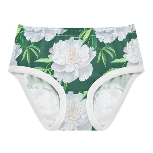 Toddler Underwear Floral 2t Cotton Panties Little Girl Bright Kids Undies Briefs Floral Pale Blue Peonies Green